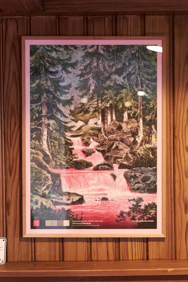 Pop-Up Stuub Feldberg Hotel เฟลด์แบร์ก ภายนอก รูปภาพ